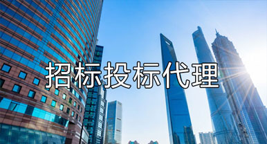 招標(biāo)、投標(biāo)